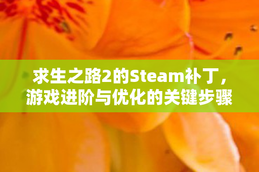求生之路2的Steam补丁，游戏进阶与优化的关键步骤
