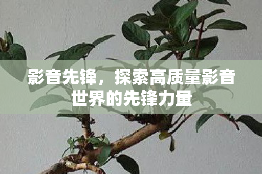影音先锋，探索高质量影音世界的先锋力量