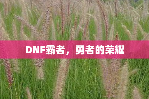DNF霸者，勇者的荣耀