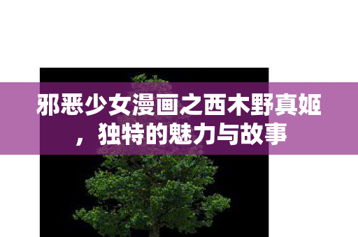 邪恶少女漫画之西木野真姬，独特的魅力与故事