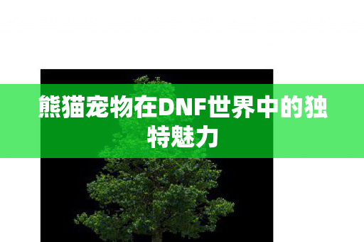 熊猫宠物在DNF世界中的独特魅力