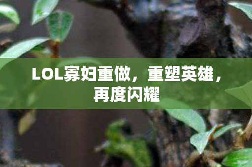 LOL寡妇重做，重塑英雄，再度闪耀