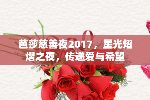 芭莎慈善夜2017，星光熠熠之夜，传递爱与希望