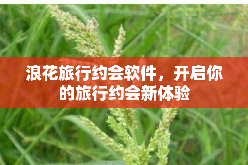 浪花旅行约会软件，开启你的旅行约会新体验