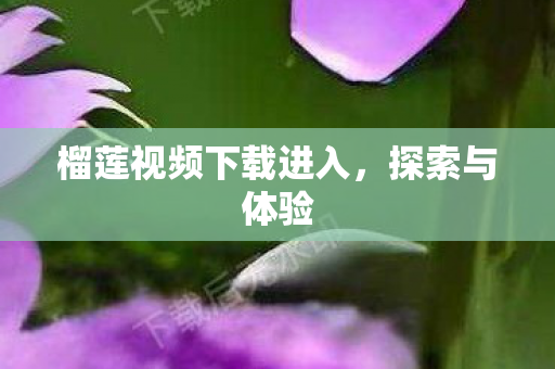 榴莲视频下载进入，探索与体验