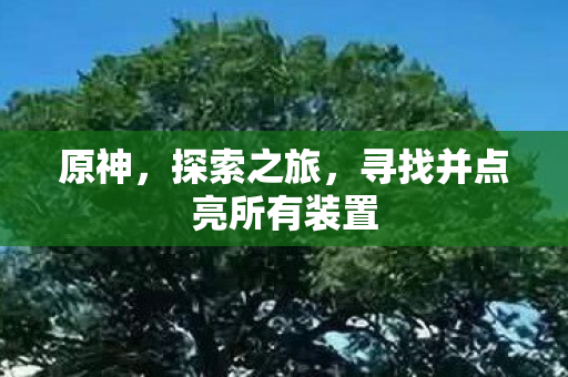 原神，探索之旅，寻找并点亮所有装置