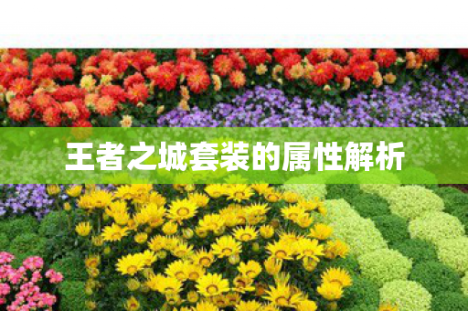 王者之城套装的属性解析