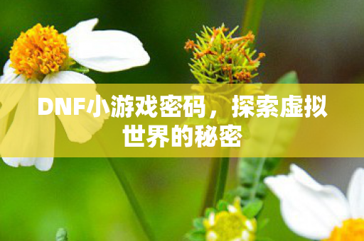 DNF小游戏密码，探索虚拟世界的秘密