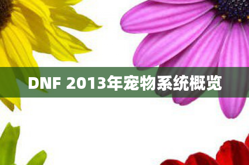 DNF 2013年宠物系统概览