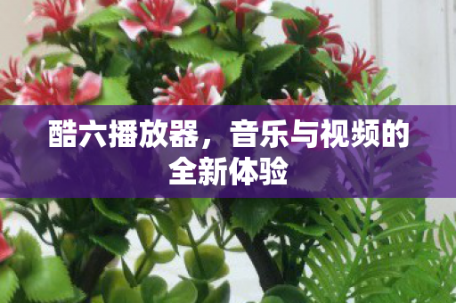 酷六播放器，音乐与视频的全新体验