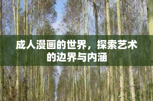 成人漫画的世界，探索艺术的边界与内涵