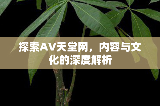 探索AV天堂网，内容与文化的深度解析