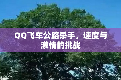 QQ飞车公路杀手，速度与激情的挑战