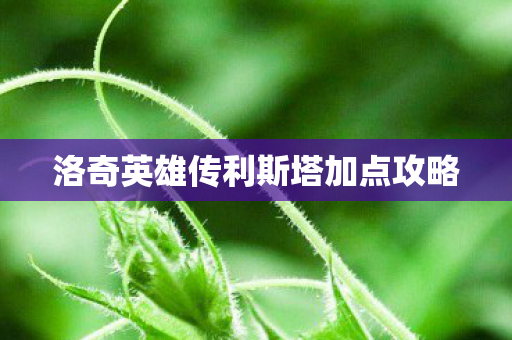 洛奇英雄传利斯塔加点攻略