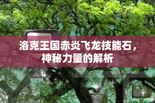 洛克王国赤炎飞龙技能石，神秘力量的解析