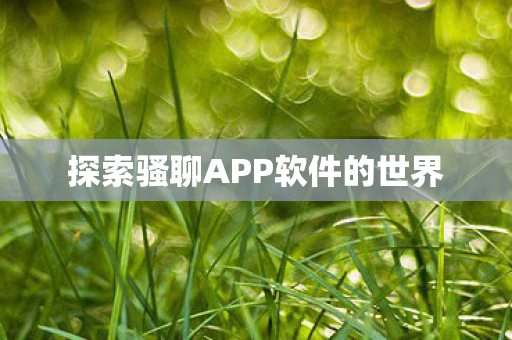 探索骚聊APP软件的世界