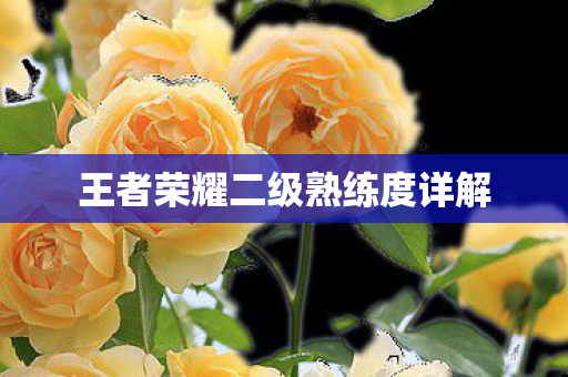 王者荣耀二级熟练度详解