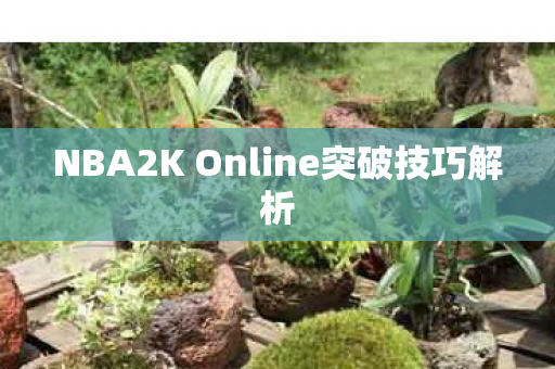 NBA2K Online突破技巧解析