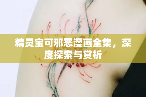 精灵宝可邪恶漫画全集，深度探索与赏析