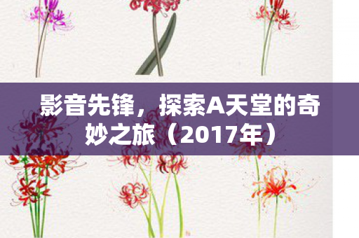 影音先锋，探索A天堂的奇妙之旅（2017年）