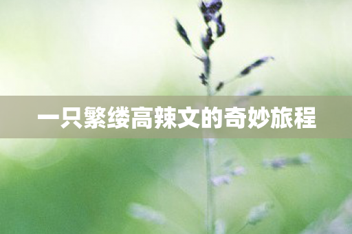 一只繁缕高辣文的奇妙旅程