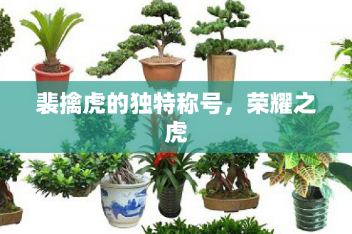 裴擒虎的独特称号，荣耀之虎