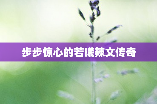 步步惊心的若曦辣文传奇