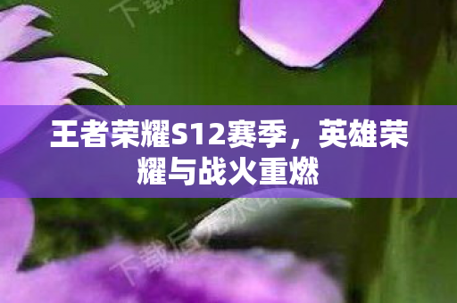王者荣耀S12赛季，英雄荣耀与战火重燃