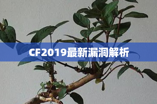 CF2019最新漏洞解析