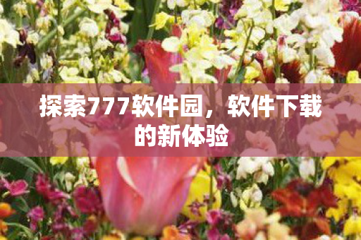 探索777软件园，软件下载的新体验
