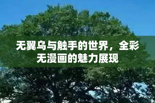 无翼乌与触手的世界，全彩无漫画的魅力展现