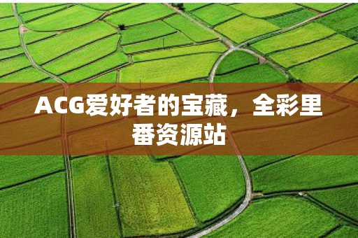 ACG爱好者的宝藏，全彩里番资源站