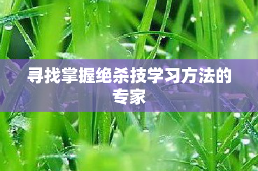 寻找掌握绝杀技学习方法的专家