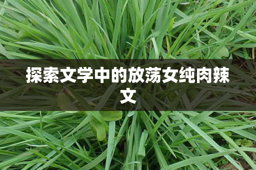 探索文学中的放荡女纯肉辣文