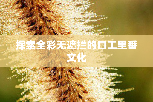 探索全彩无遮拦的口工里番文化