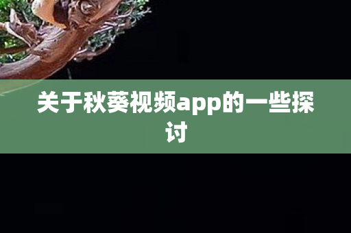 关于秋葵视频app的一些探讨