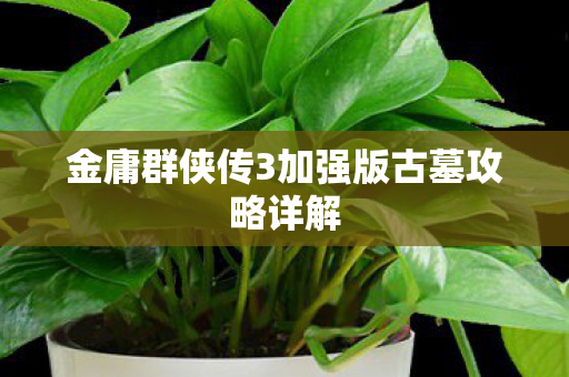 金庸群侠传3加强版古墓攻略详解