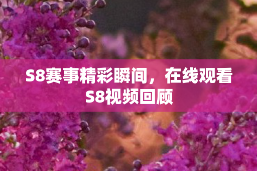S8赛事精彩瞬间，在线观看S8视频回顾