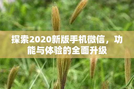 探索2020新版手机微信，功能与体验的全面升级