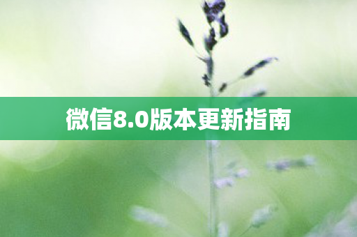 微信8.0版本更新指南