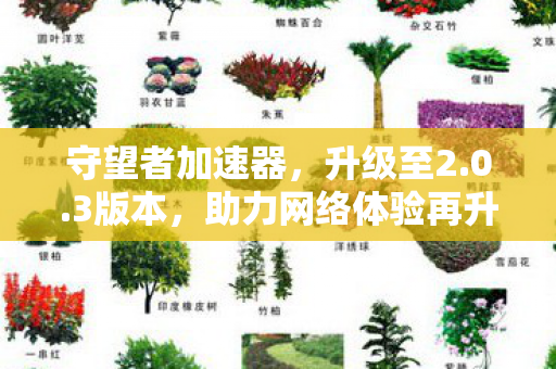守望者加速器，升级至2.0.3版本，助力网络体验再升级