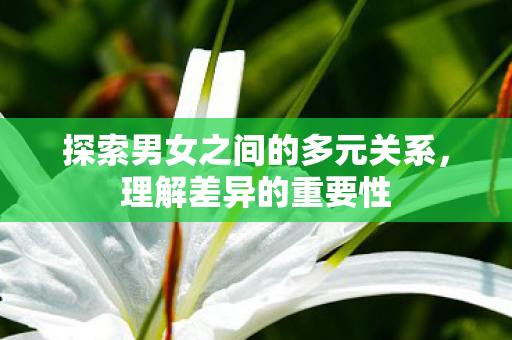 探索男女之间的多元关系，理解差异的重要性