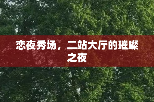 恋夜秀场，二站大厅的璀璨之夜