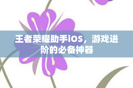 王者荣耀助手iOS，游戏进阶的必备神器