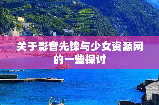 关于影音先锋与少女资源网的一些探讨