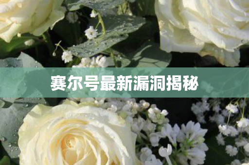 赛尔号最新漏洞揭秘