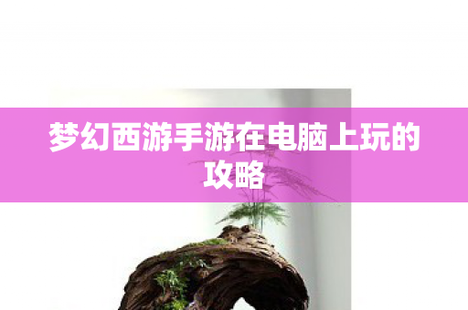 梦幻西游手游在电脑上玩的攻略