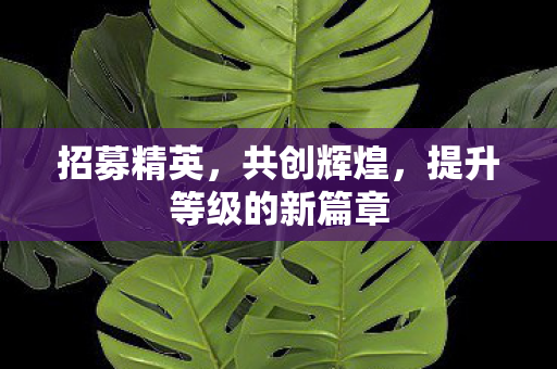 招募精英，共创辉煌，提升等级的新篇章
