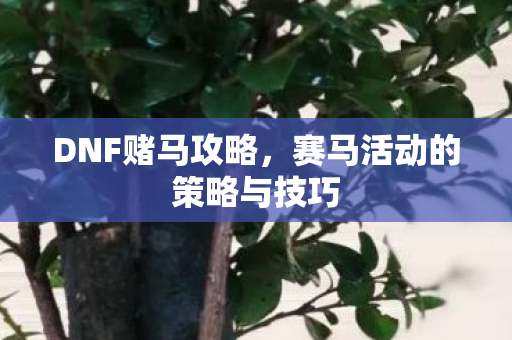 DNF赌马攻略，赛马活动的策略与技巧