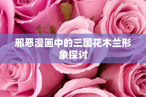 邪恶漫画中的三国花木兰形象探讨